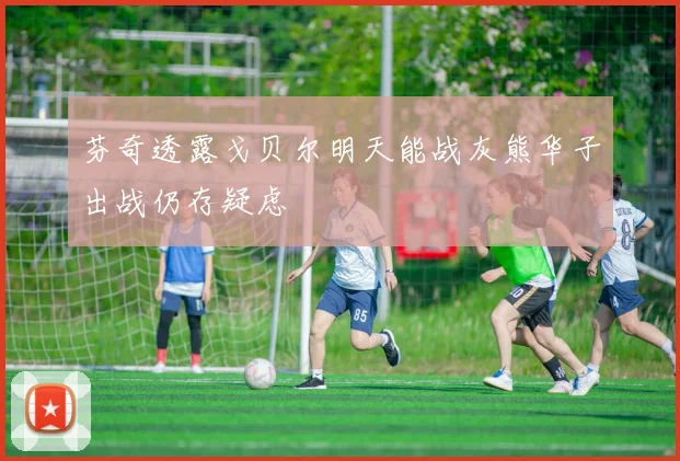 芬奇透露戈贝尔明天能战灰熊华子出战仍存疑虑